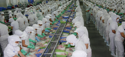 VHC bán nhà máy với giá 28 triệu USD