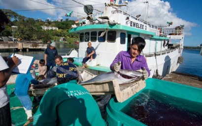 Fiji thúc đẩy chương trình phát triển nghề cá ngừ bền vững
