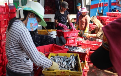 Tập trung chế biến sâu mới nâng cao giá trị thủy sản