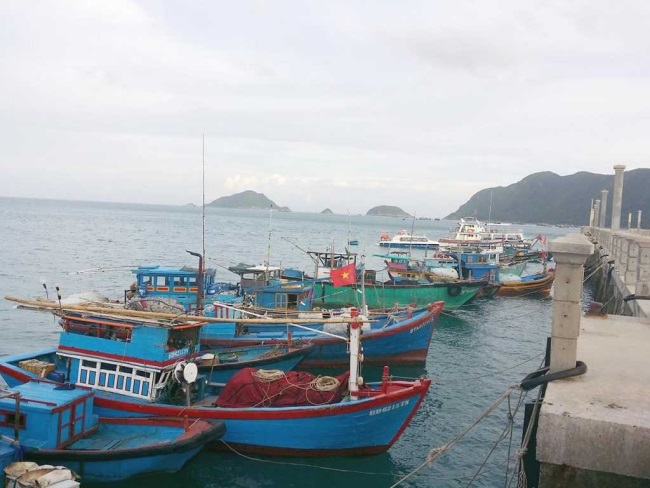 Quyết định 3905/QĐ-BNN-TCTS: chỉ định và công bố danh sách cảng biển cho tàu đánh bắt thủy sản, tàu vận chuyển, chuyển tải thủy sản, sản phẩm thủy sản có nguồn gốc từ khai thác của nước ngoài cập cảng Việt Nam