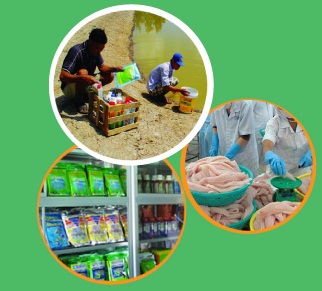 Khóa đào tạo K.2.17: “Kiểm soát hiệu quả hóa chất, kháng sinh trong chuỗi cung cấp thủy sản”