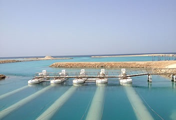 Mexico:  Nuôi trồng thủy sản đang được khuyến khích phát triển