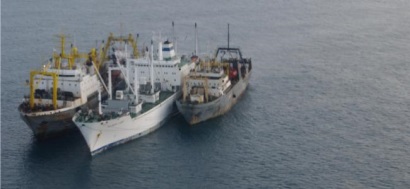 Hoạt động khai thác bất hợp pháp tại Mauritania đang đe dọa an ninh lương thực