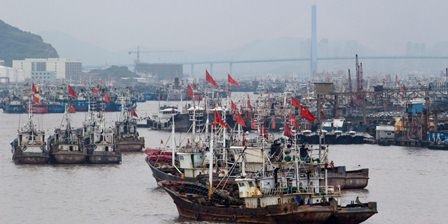 Tại sao Trung Quốc nên cải cách hệ thống khuyến ngư?