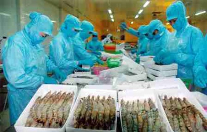 Cơ hội và thách thức của thủy sản Việt Nam khi hội nhập 