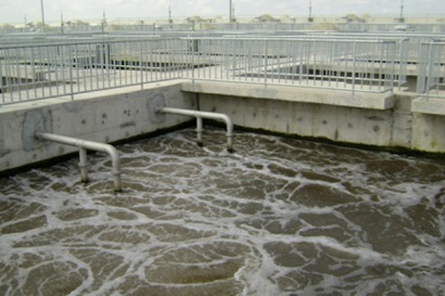 Bộ NN&PTNT - Bộ TN&MT thống nhất biện pháp tháo gỡ vướng mắc cho doanh nghiệp thủy sản