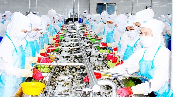 VASEP góp ý các dự thảo thông tư về nghề, công việc cho lao động chưa thành niên, danh mục công việc nặng nhọc độc hại nguy hiểm