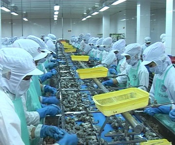 Cà Mau: Huyện Năm Căn kim ngạch xuất khẩu thủy sản đạt trên 110% kế hoạch