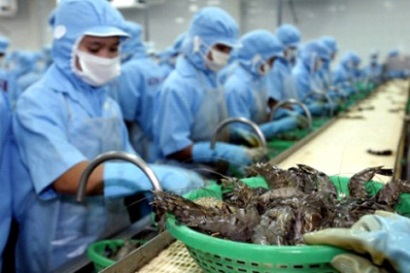 Bộ Công Thương đề nghị Úc sớm bãi bỏ lệnh tạm ngừng nhập khẩu tôm