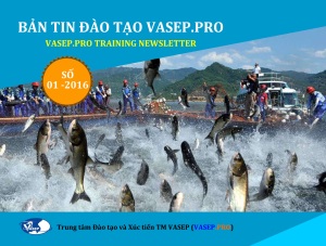 BẢN TIN SỐ 01-2016