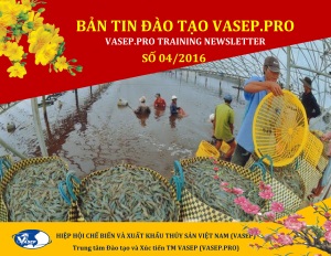 BẢN TIN ĐÀO TẠO SỐ 4/2016