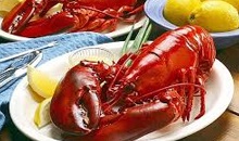 Vietnam shrimp exports sharply increased