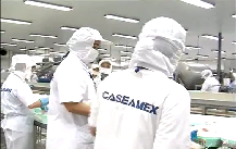 [Video] Food Safery Pangasius production chain in Vietnam Part 22 