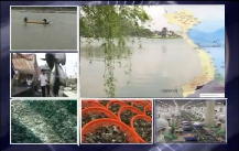 [Video] Vietnam fisheries Sector Potentials and achieverments Part 12  