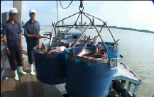 [Video] Vietnam fisheries Sector Potentials and achieverments Part 22 