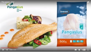 [Video] The panga story