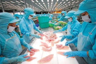 Seafood exports set to top 7 billion USD this year