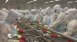 [Video] Climate change adaption shrimp farm model implemented