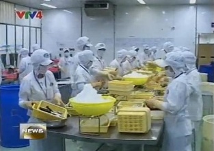 [Video] DOC confirms no Vietnam shrimp dumping