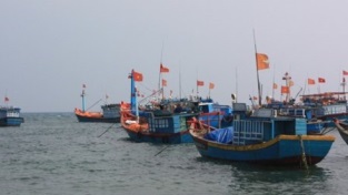 Vietnam’s reserves of sea fish close to 4.2 million tonnes