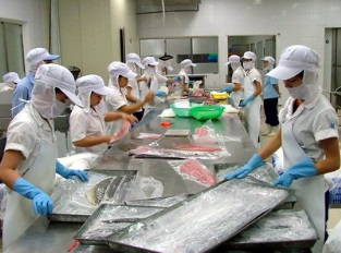 Vietnam posts increase in tuna exports