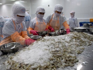 Shrimp export up nearly 16 pct in first half