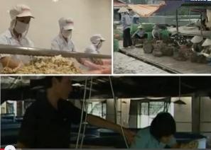 [Video] Mollusk in Vietnam