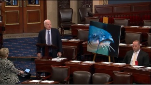 [Video] Senator McCain on repealing catfish inspection office 5 19 15