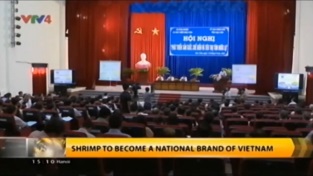 [Video] Shrimp to become a national brand of Vietnam