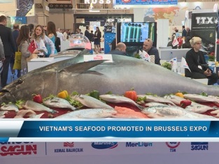 Vietnam’s seafood promoted in Brussels expo