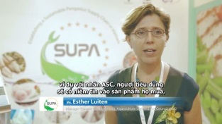 [Video] Sustainable Pangasius supply chain in Vietnam