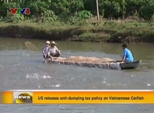 [Video] Unfair DOC decision about AD duty on Vietnam pangasius