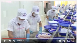 [Video] Ministry strives for sustainable development of tra fish