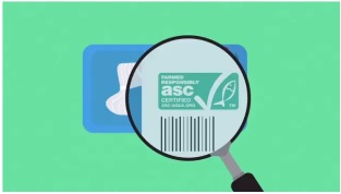 Pangasius Your Everyday Fish - a safe, sustainable and responsible choice