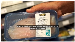 Pangasius a responsible choice