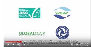 Safer pangasius on European dining tables