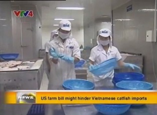 [Video] US farm bill might hinder Vietnamese catfish imports