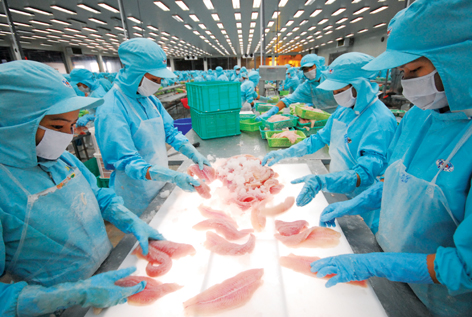 [Video] Food Safery Pangasius production chain in Vietnam Part 12 