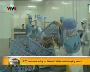 [Video] WTO announces rulling on Vietnams shrimp anti dumping lawsuit