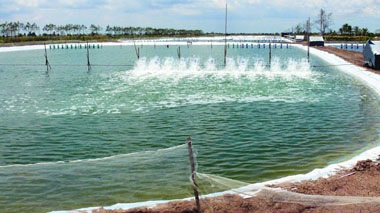 Canada to boost agricultural cooperation with Vietnam, India