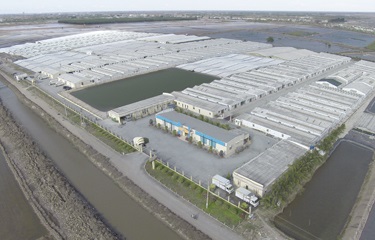 Viet Uc to open new high-tech shrimp farm in April