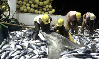 EU ban on Pakistan seafood imports may continue in 2012
