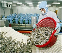 WTO announces ruling on Vietnam’s shrimp anti-dumping lawsuit