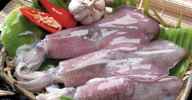 Vietnam cephalopod exports to Korea saw stable growth