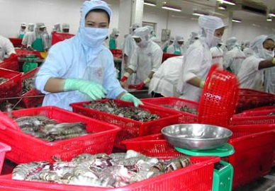 Tra Vinh: Surge in seafood exports in Jan-Jun 2017