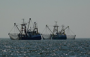 Fishing Frontlines: A Sea Change for Southeast Asia Fish Exports