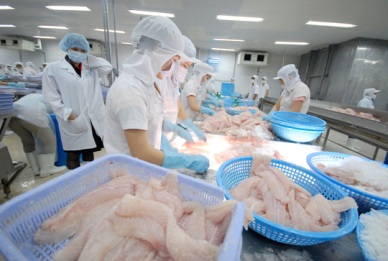 Rise in Vietnam pangasius exports to main markets
