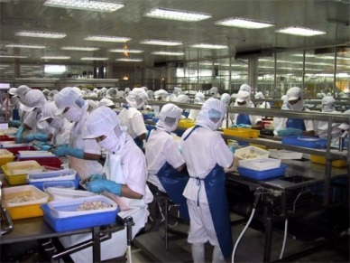 Vietnam seafood exports decrease
