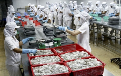 Seaprodex: Net profit hit over VND70 billion in QI/2017