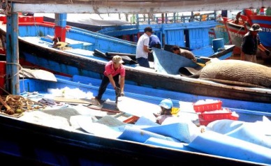 Binh Dinh: Capture output rose by 5%